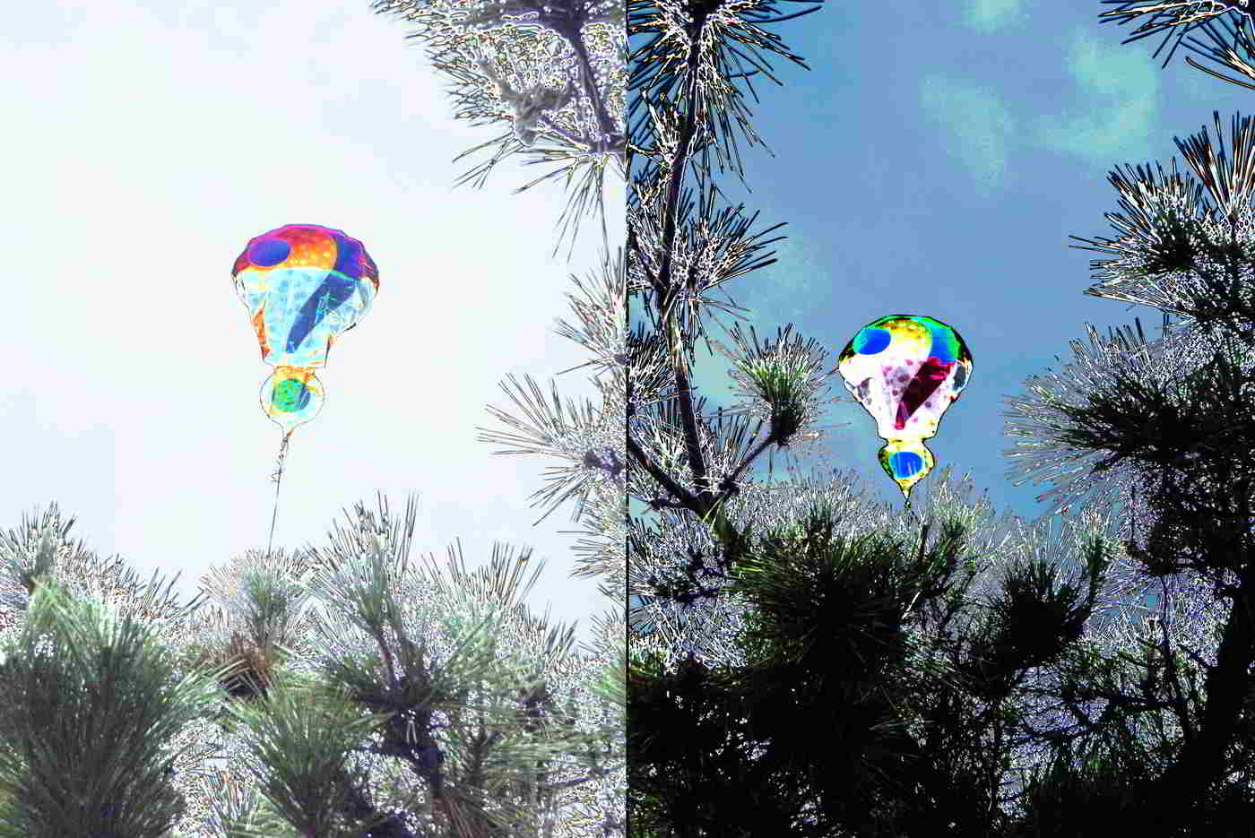 Two pictures of a color corrected gender reveal balloon next to each other. One picture has tree branches below, a very light sky, and an balloon with a question mark in blue, green, with the top in red. The other balloon has a deeper blue sky, with a question mark in blue and pink. 