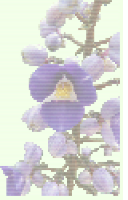 A green background with a purple flower composed of dots in front.
